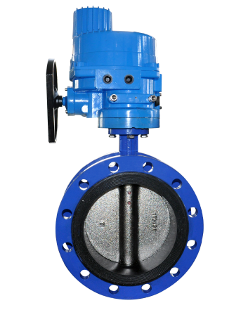 এককেন্দ্রিক এবং এককেন্দ্রিক প্রজাপতি ভালভের মধ্যে পার্থক্য